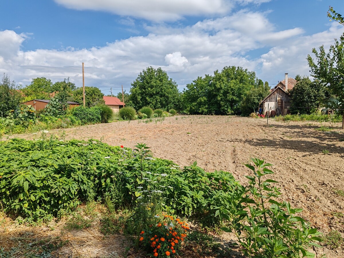 Pozemok s inžinierskymi sieťami na predaj v Martovciach – fotografia 1