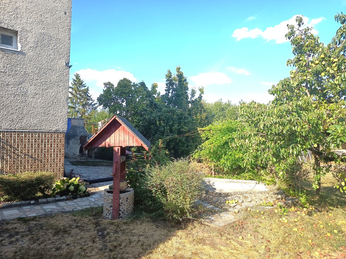 Na predaj 5 izbový rodinný dom so záhradou v obci Bánov – fotografia 10