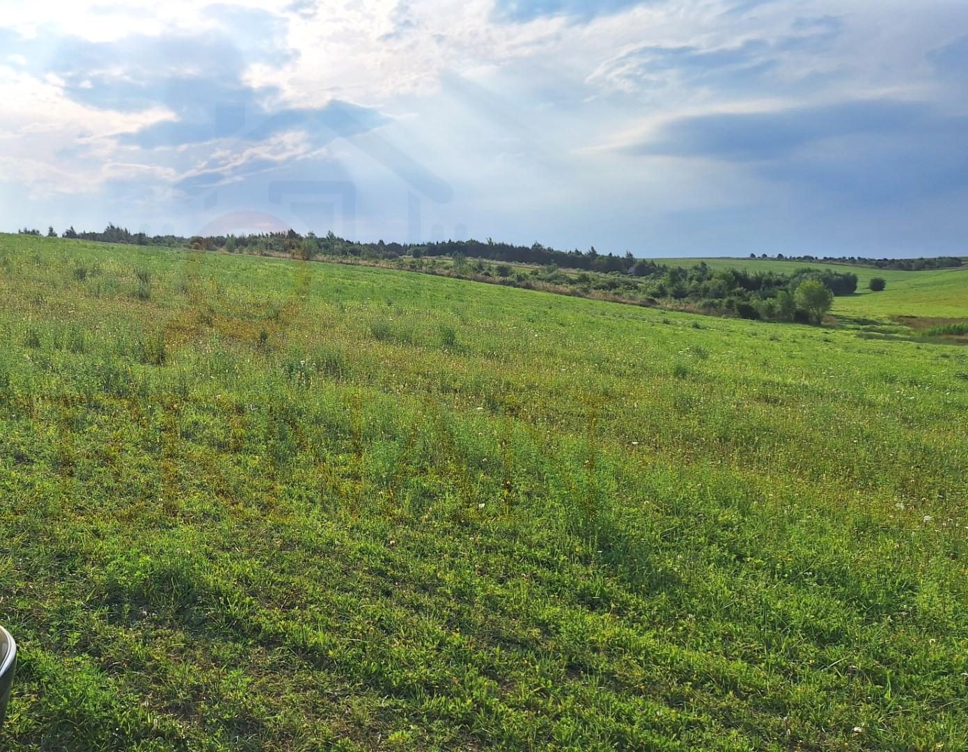 Predaj pozemok 3030 m2 Malý Šariš – pri meste Prešov – fotografia 4