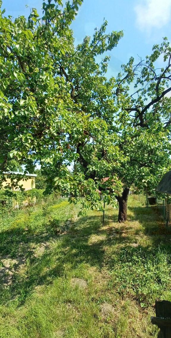 Predaj stavebná parcela – pozemok 406 m2 Valaliky pri Košiciach – fotografia 4