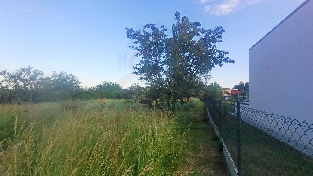 Stavebná parcela 1281m2 intravilán, Malé Ozorovce, okr. Trebišov – fotografia 2