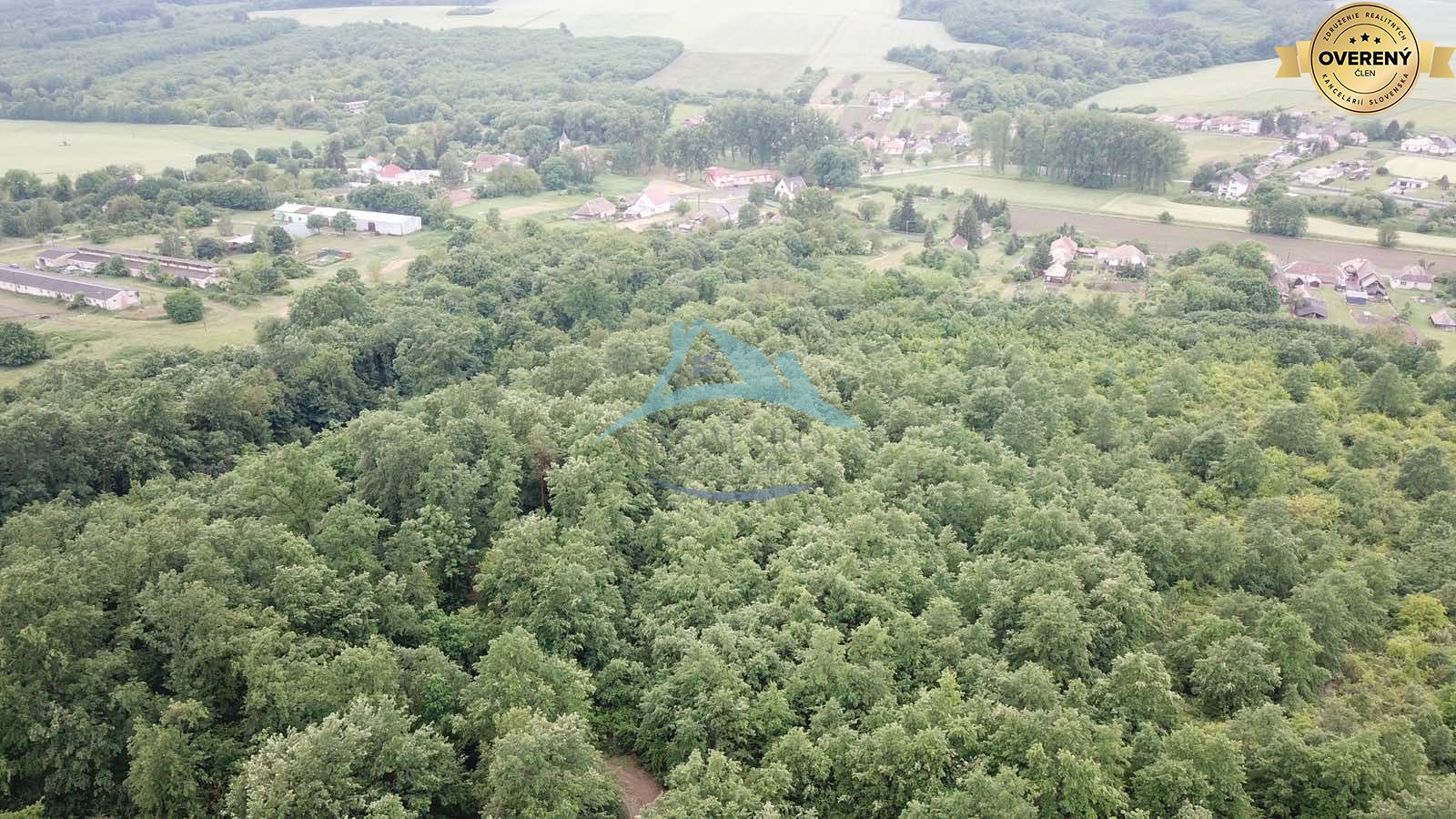 Na predaj 13,8 ha agropôdy v Trebušovciach – 11,5 ha ucelený pozemok – fotografia 2