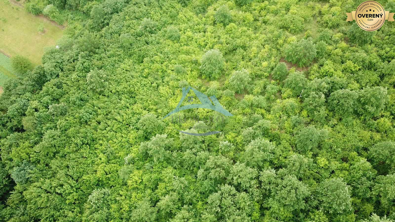 Na predaj 13,8 ha agropôdy v Trebušovciach – 11,5 ha ucelený pozemok – fotografia 5
