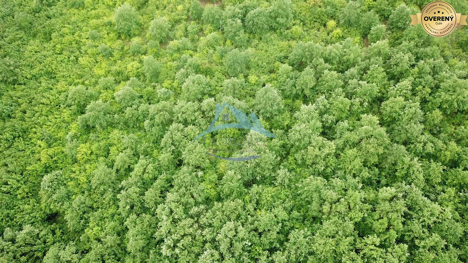 Na predaj 13,8 ha agropôdy v Trebušovciach – 11,5 ha ucelený pozemok – fotografia 7