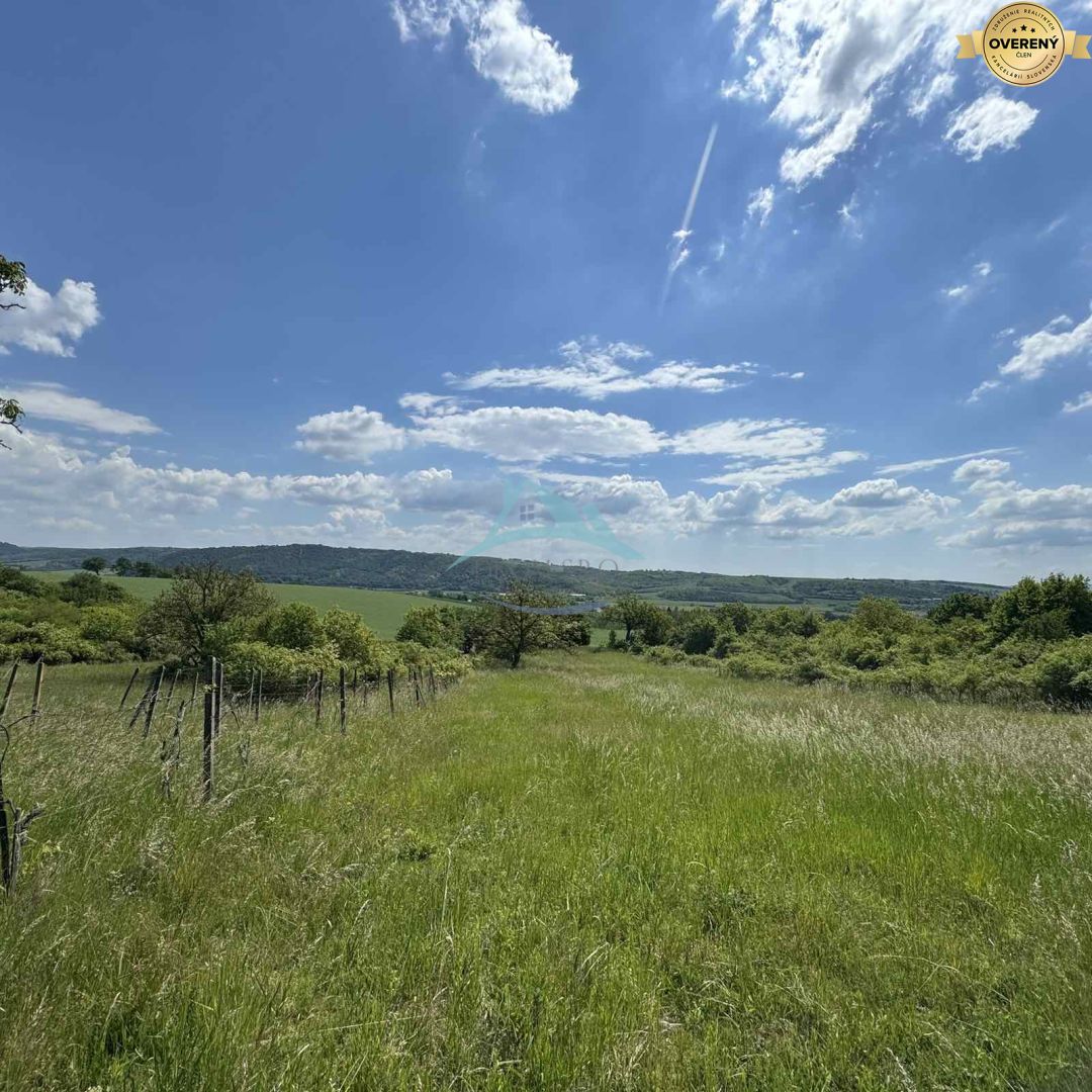 Rozľahlý pozemok (5820 m²) v lone prírody – Dolné Terany, okr. Krupina – fotografia 1