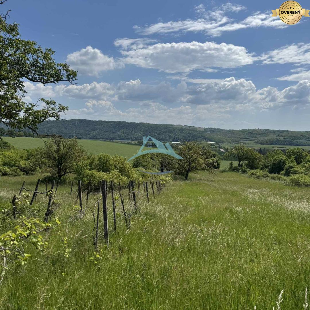 Rozľahlý pozemok (5820 m²) v lone prírody – Dolné Terany, okr. Krupina – fotografia 2
