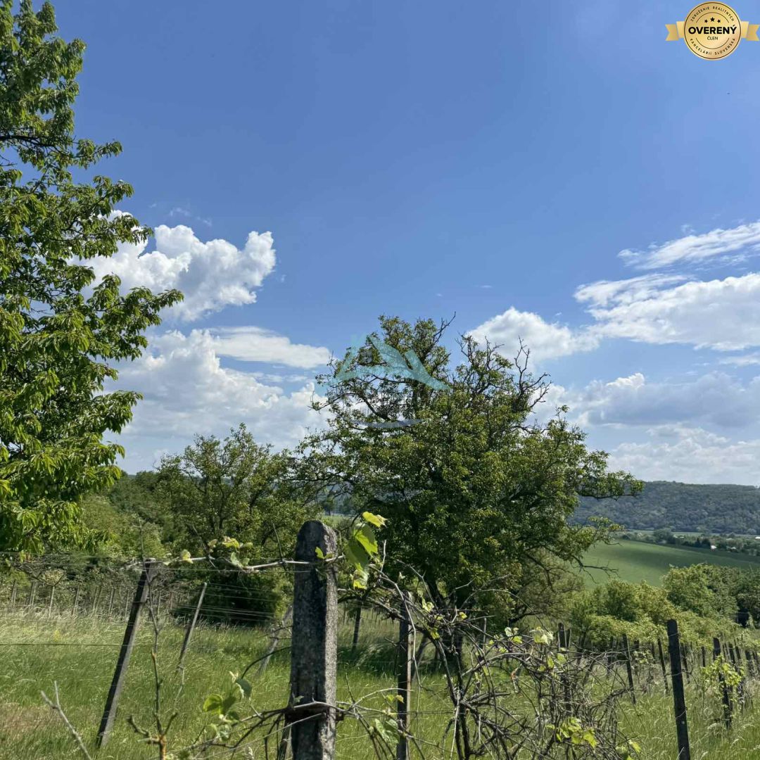 Rozľahlý pozemok (5820 m²) v lone prírody – Dolné Terany, okr. Krupina – fotografia 3