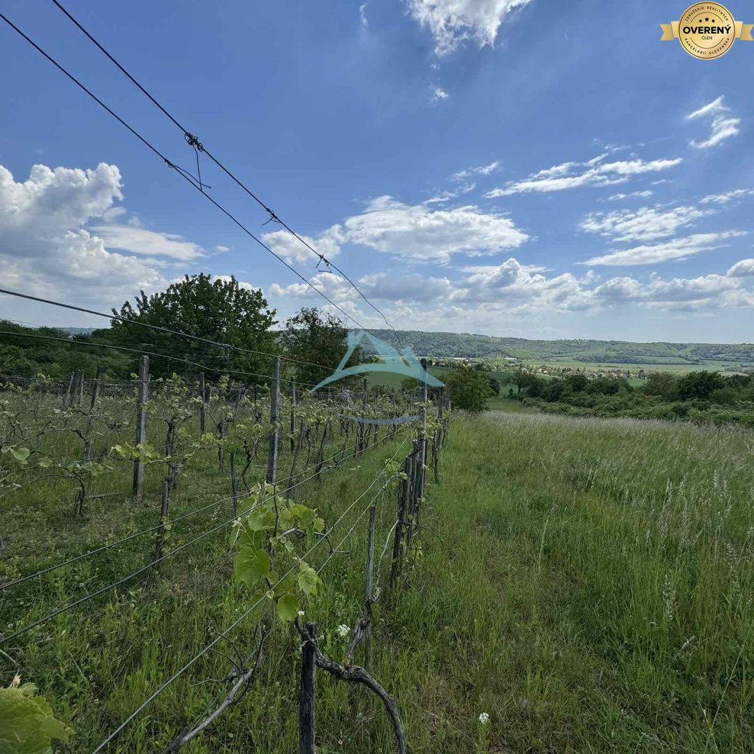 Rozľahlý pozemok (5820 m²) v lone prírody – Dolné Terany, okr. Krupina – fotografia 5