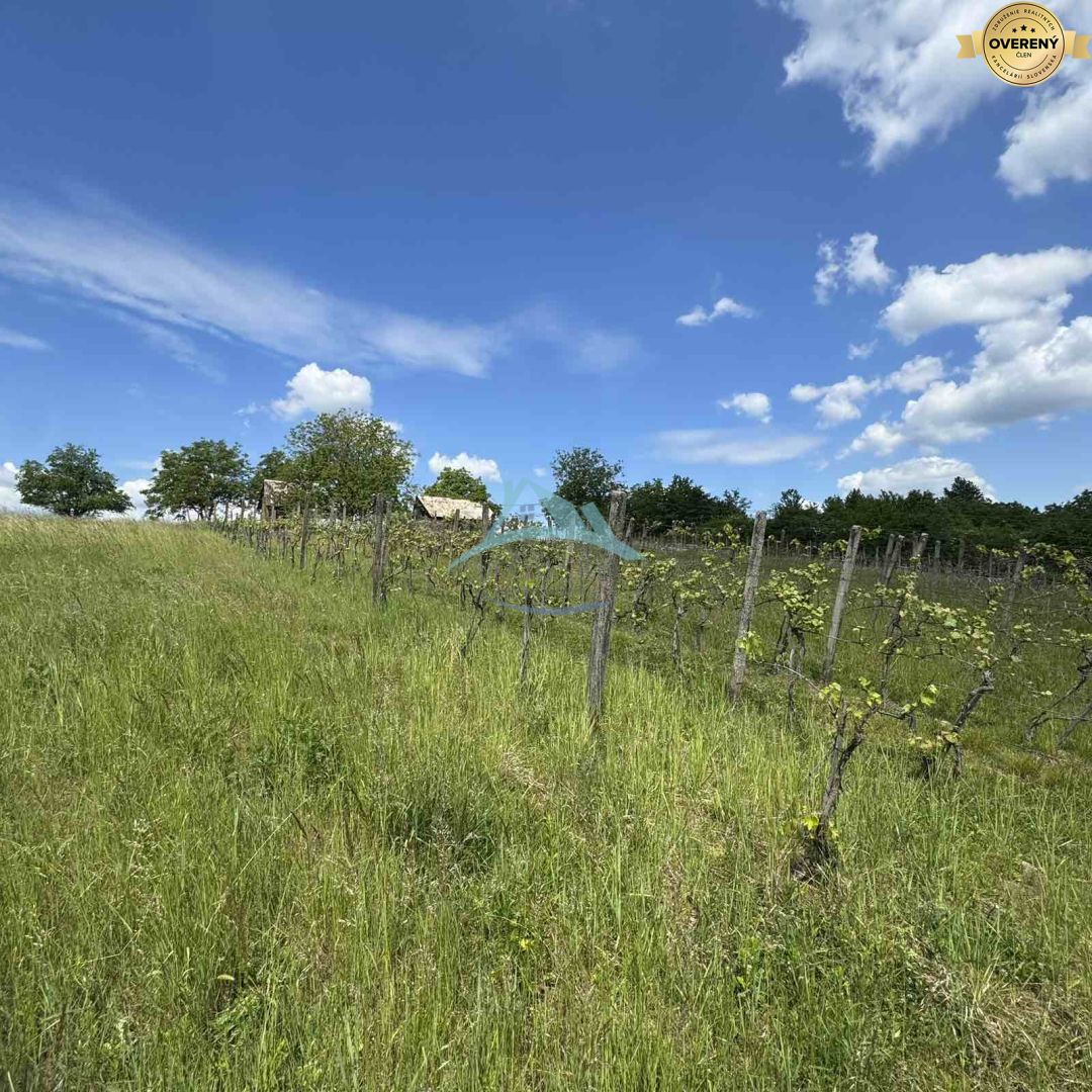 Rozľahlý pozemok (5820 m²) v lone prírody – Dolné Terany, okr. Krupina – fotografia 6