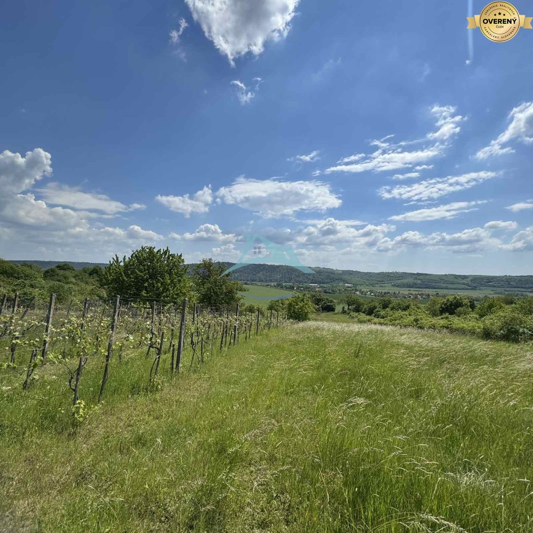 Rozľahlý pozemok (5820 m²) v lone prírody – Dolné Terany, okr. Krupina – fotografia 7
