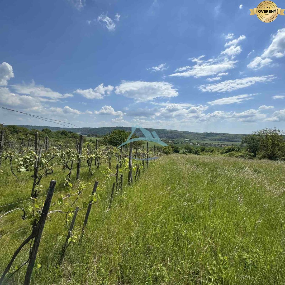 Rozľahlý pozemok (5820 m²) v lone prírody – Dolné Terany, okr. Krupina – fotografia 8