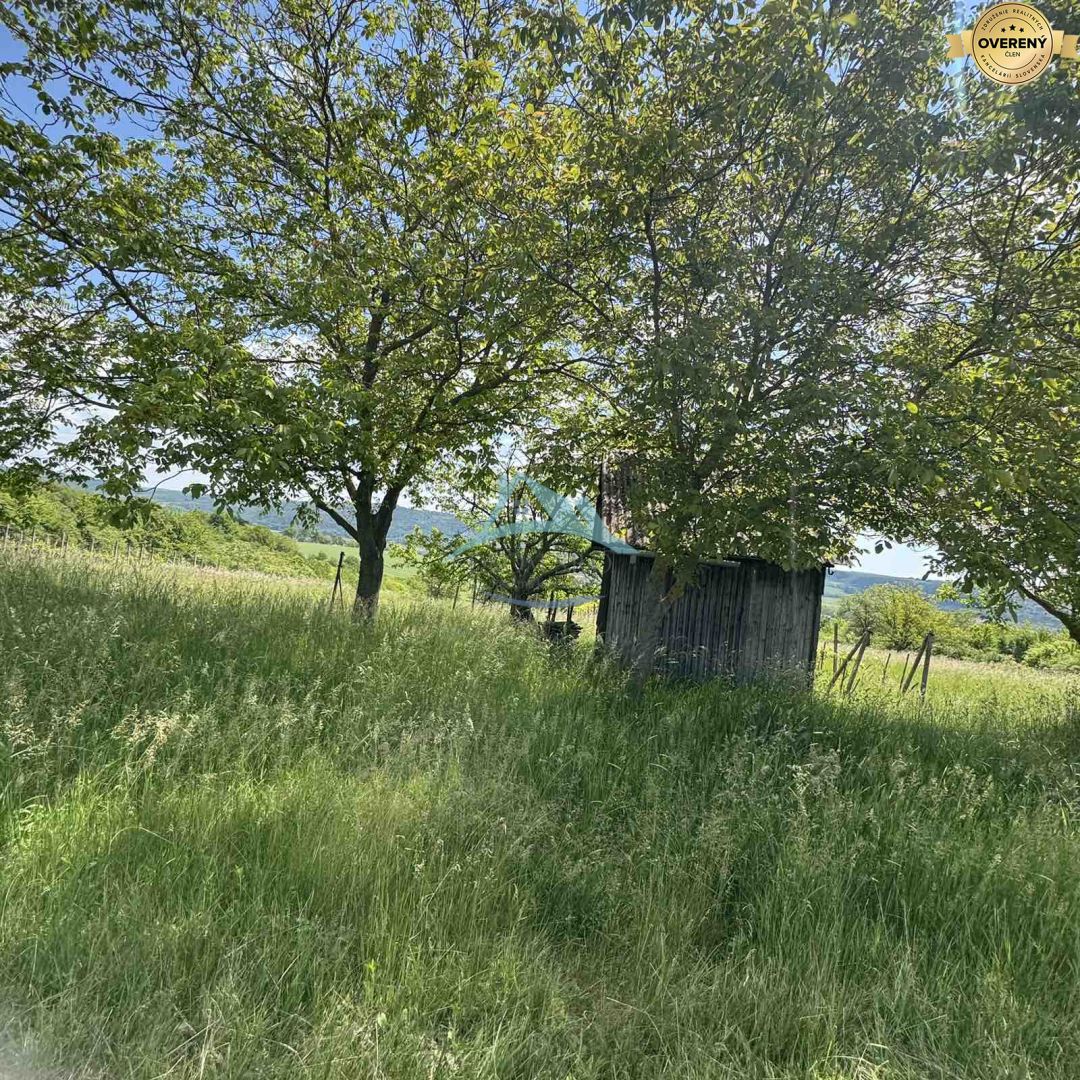 Rozľahlý pozemok (5820 m²) v lone prírody – Dolné Terany, okr. Krupina – fotografia 9