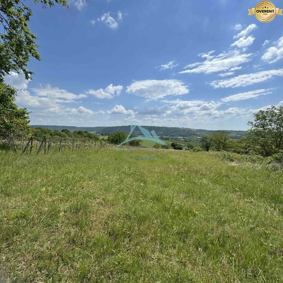 Rozľahlý pozemok (5820 m²) v lone prírody – Dolné Terany, okr. Krupina – fotografia 10