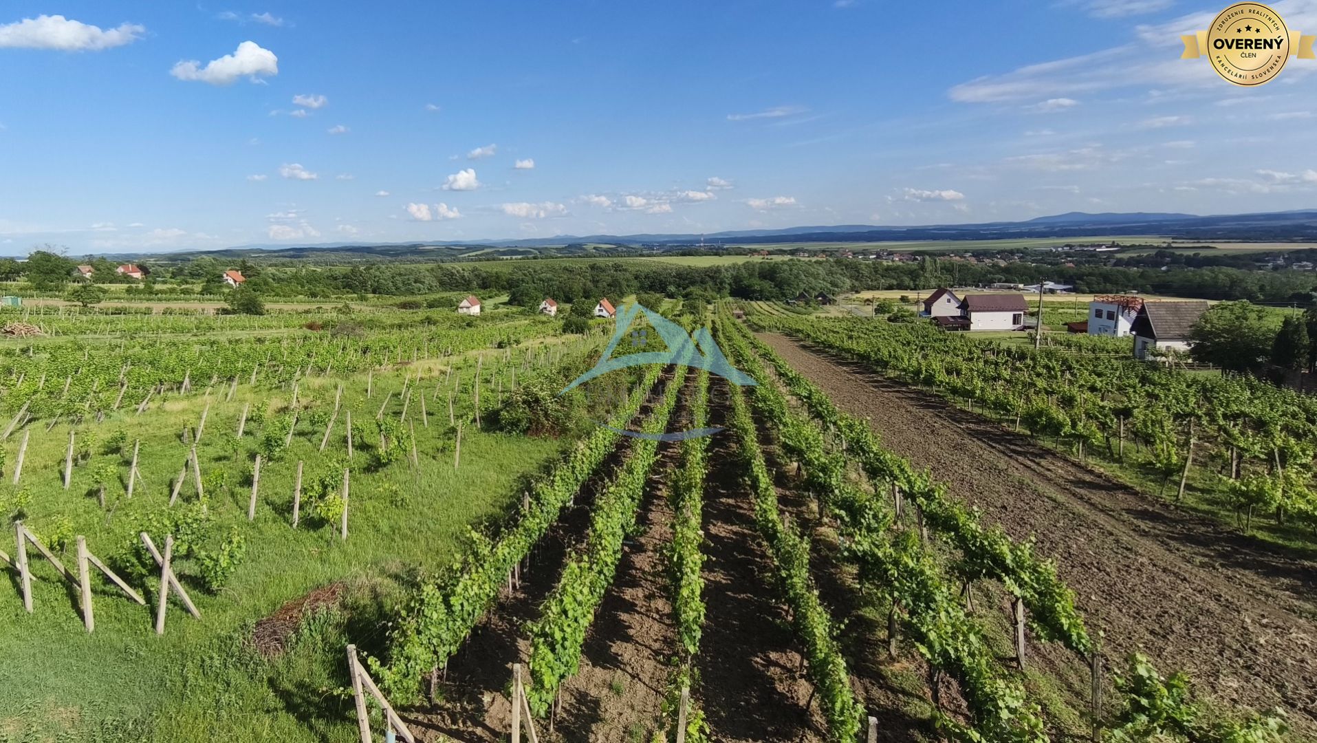 3-podlažný vínny domček s vinicou v obci Vinica, okr. V. Krtíš. – fotografia 3