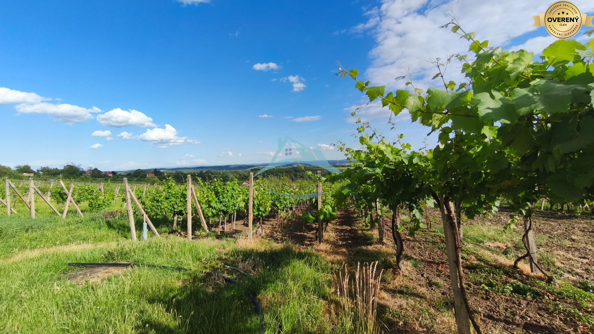 3-podlažný vínny domček s vinicou v obci Vinica, okr. V. Krtíš. – fotografia 4