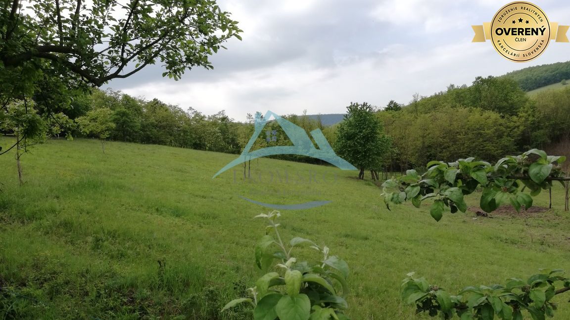 Dva vidiecke domy na pozemku 1,6ha D. Strehová (Prieloh), V. Krtíš. – fotografia 7
