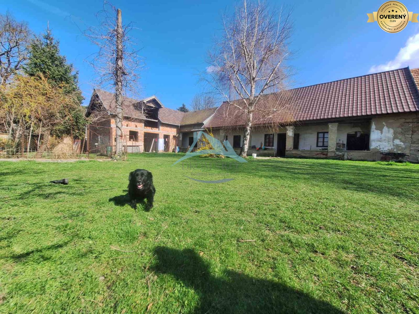 Na predaj starší sedliacky R. dom s obrovským pozemkom 2924m2 – fotografia 4