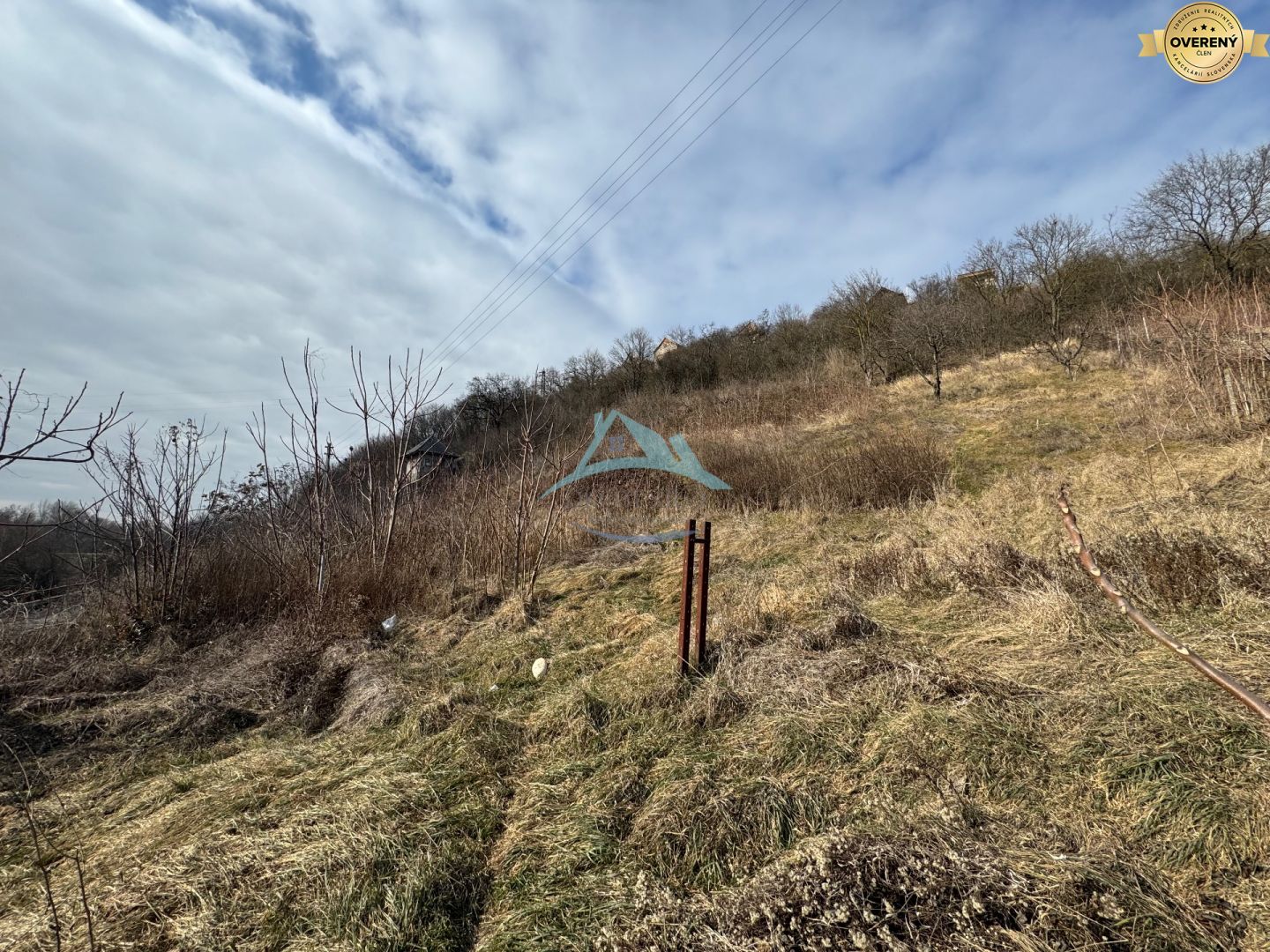 Na predaj: Rekreačný svahovitý pozemok v Šahách -11527m – fotografia 10