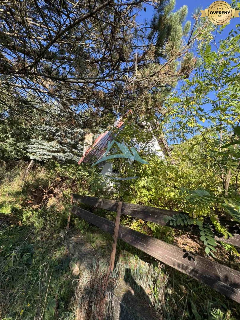 Na predaj chatka na rekonštrukciu s veľkým pozemkom – Veľké Turovce – fotografia 1
