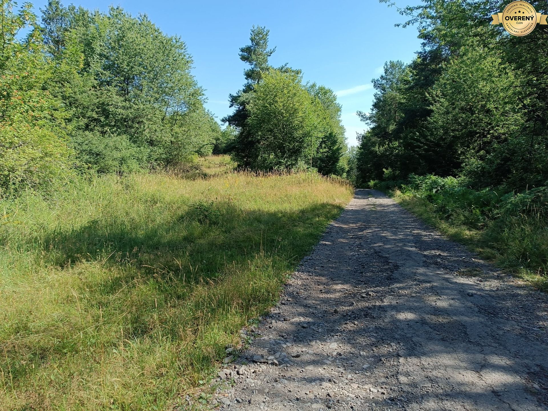 Na predaj pozemok v lese Hrabičov – fotografia 2