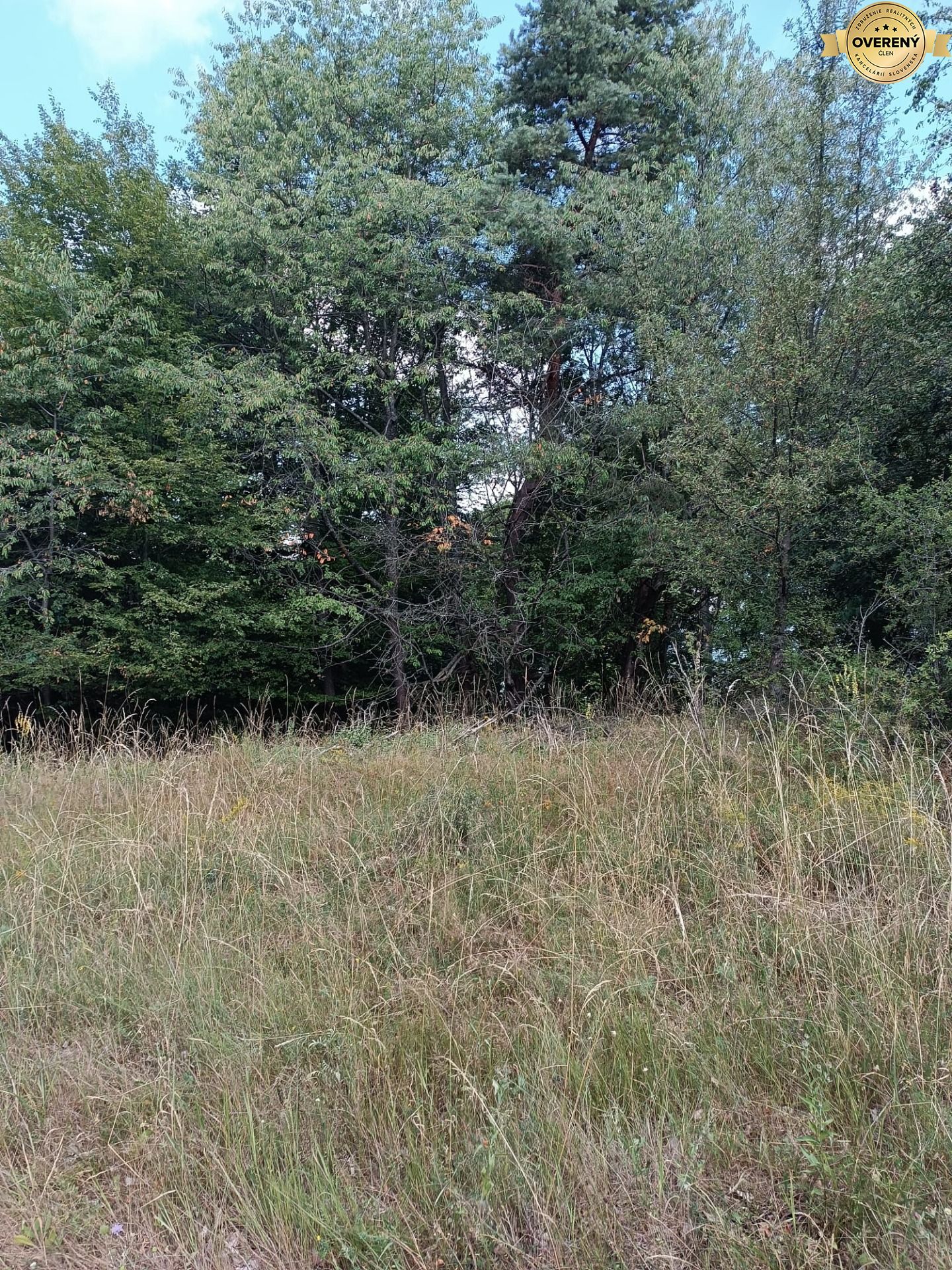 Na predaj pozemok v lese Hrabičov – fotografia 4