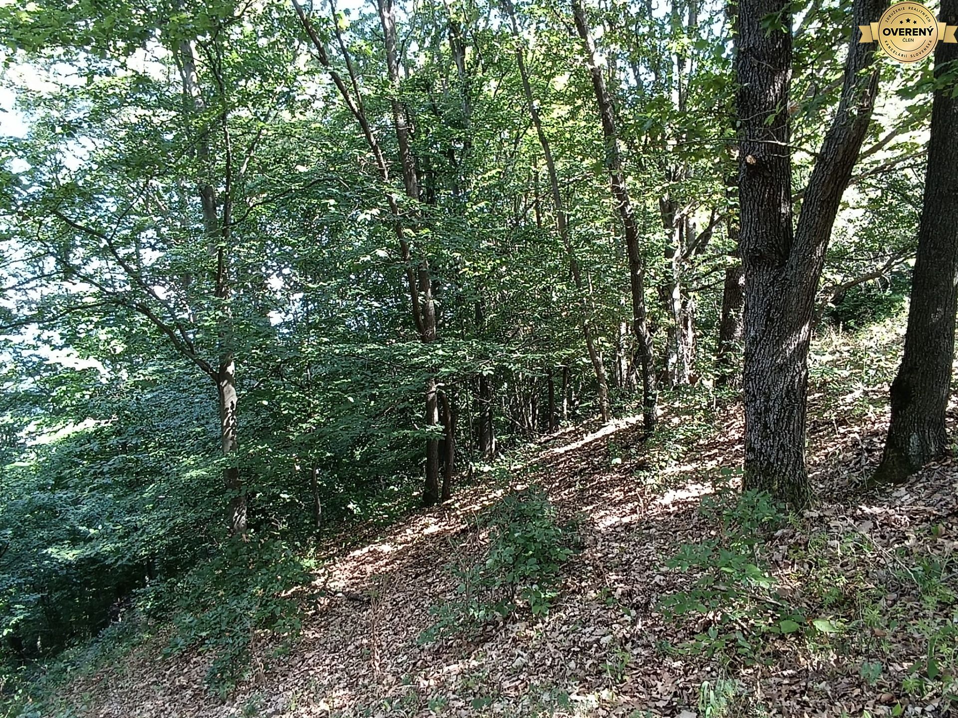 Na predaj pozemok v lese Hrabičov – fotografia 6