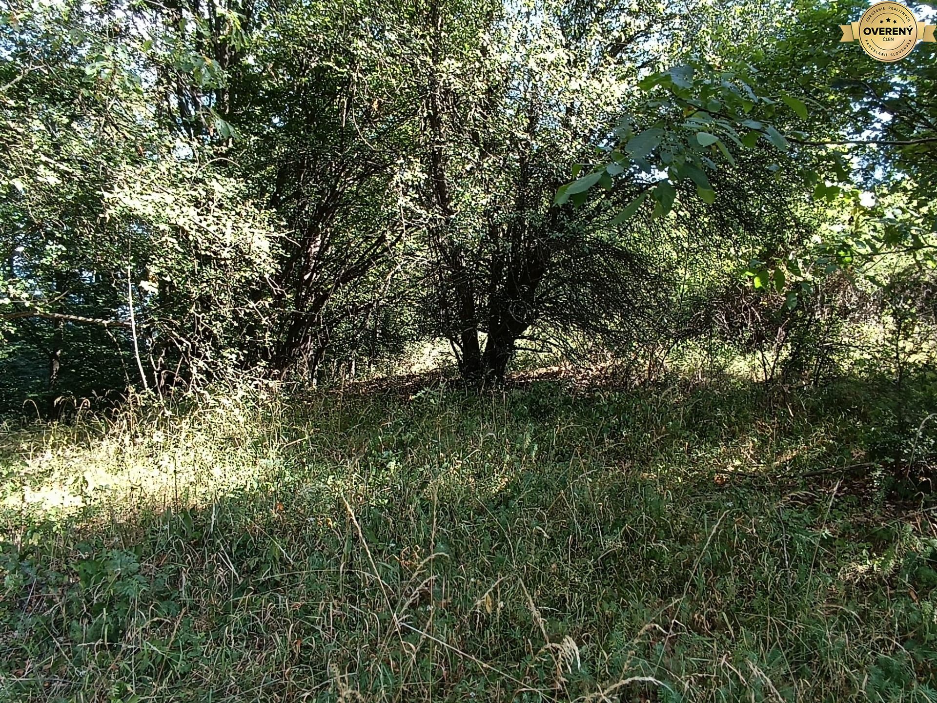 Na predaj pozemok v lese Hrabičov – fotografia 7