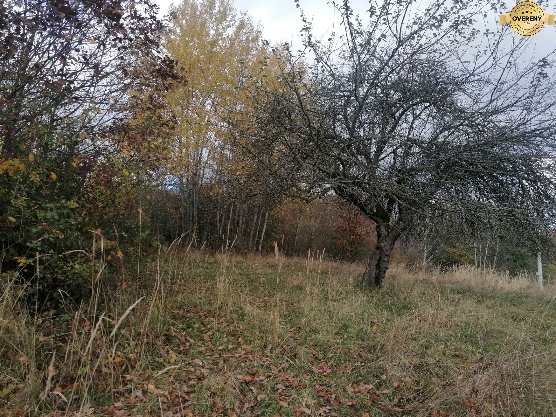 Rekreačný pozemok pri potôčiku – fotografia 2