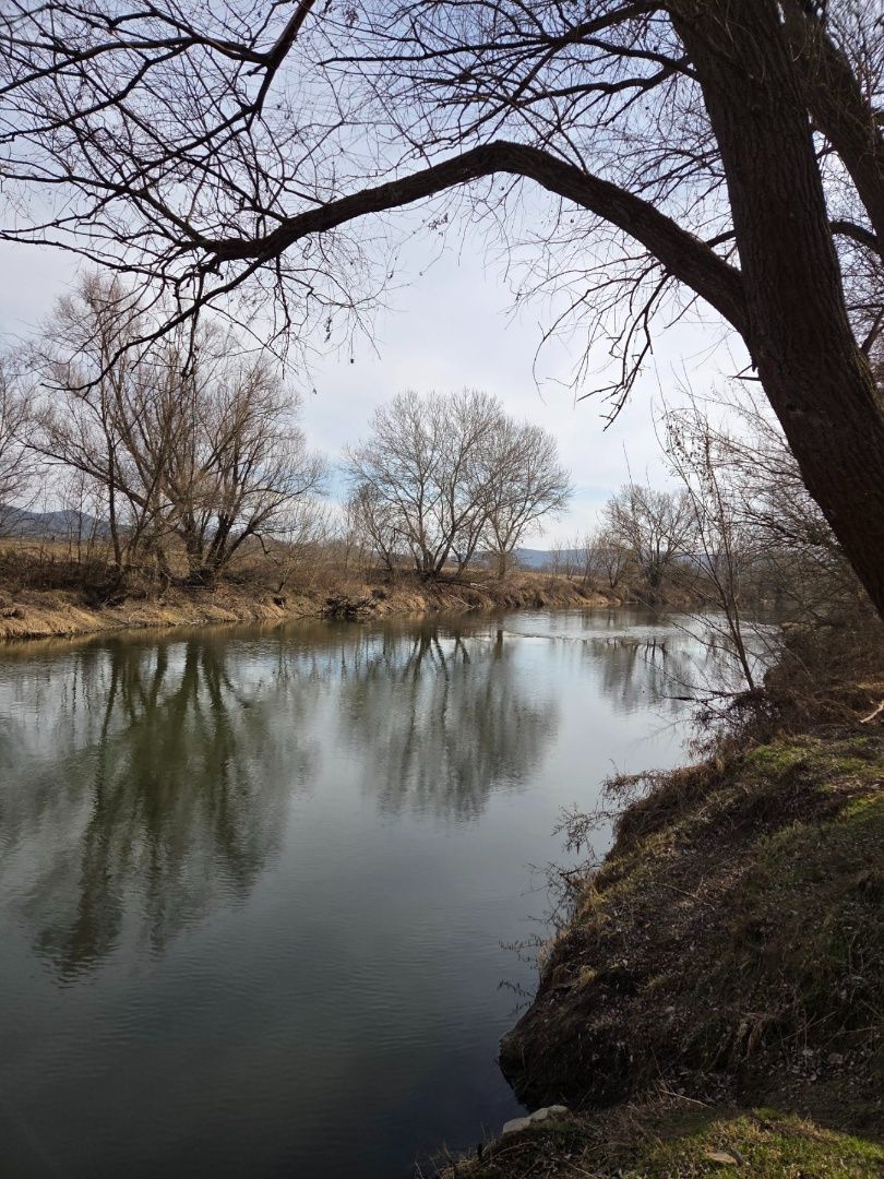 Veľký pozemok v obci Salka – fotografia 9