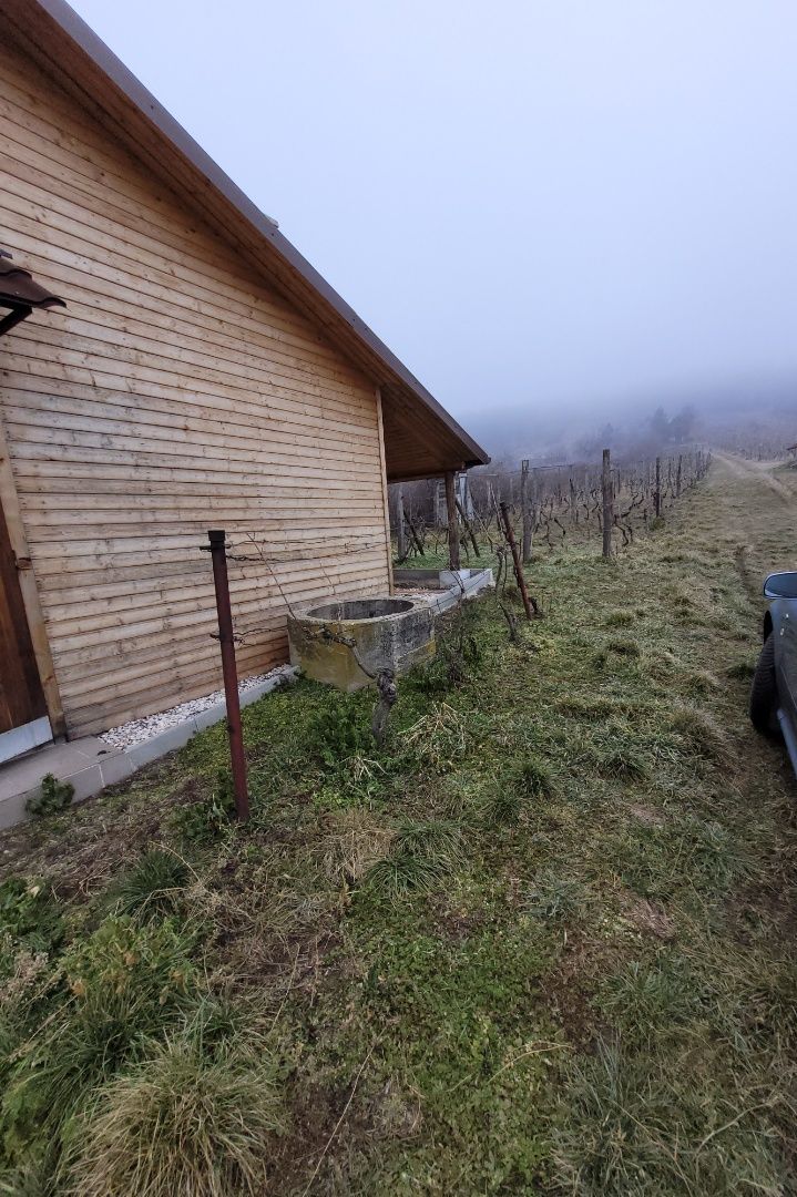Predáme chatku s elektrinou, pekným pozemkom a viničom. – fotografia 5