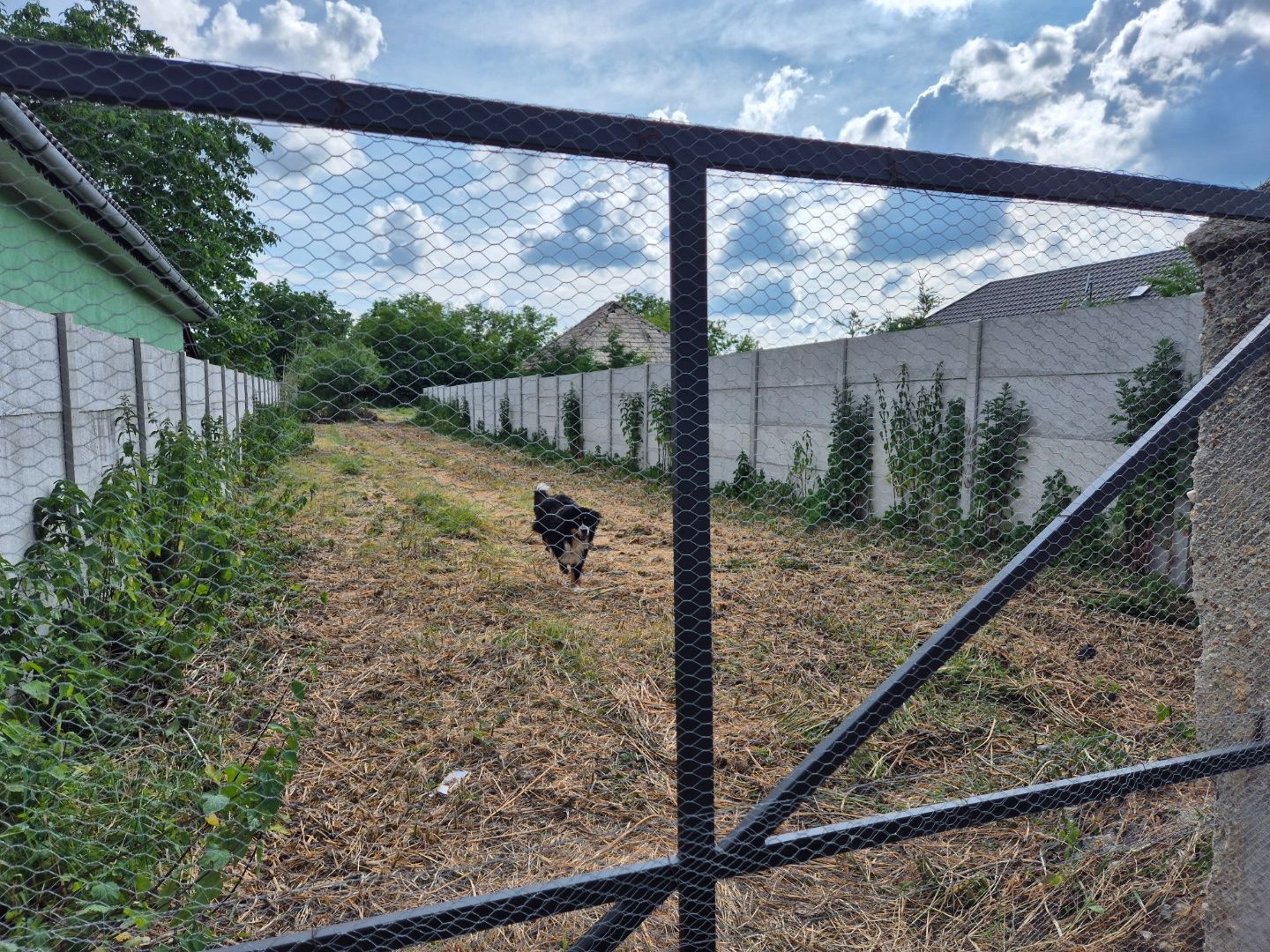 Stavebný pozemok na predaj v obci Pribeta. – fotografia 3