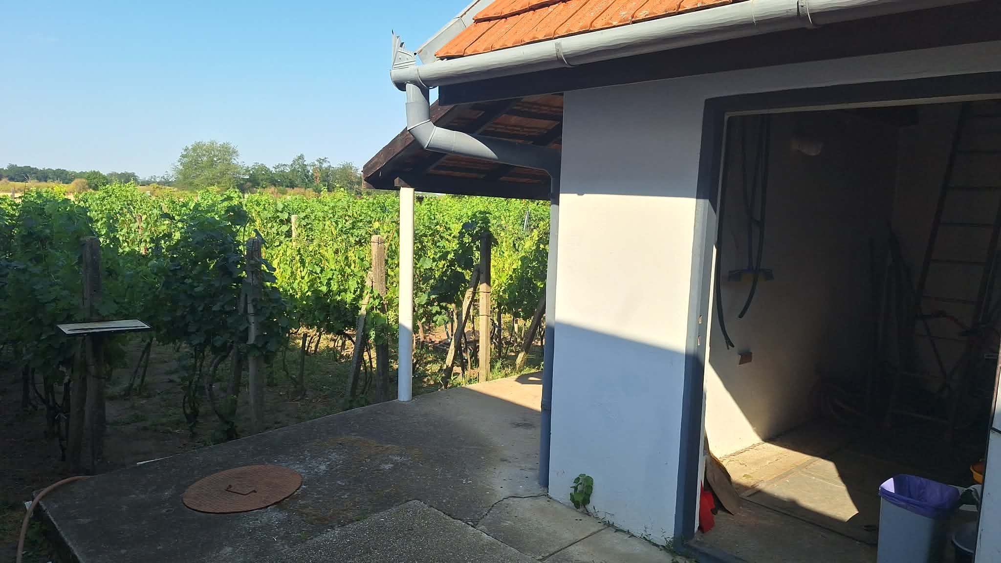 IBA U NÁS! PREDAJ - Murovaný domček s klembovou pivnicou a záhradou v obci Svätý Peter – fotografia 3