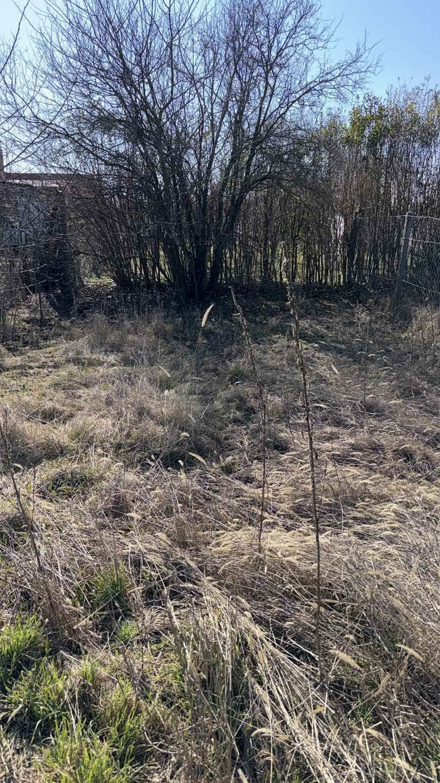 EXKLUZÍVNY PREDAJ - záhrada v Novej Stráži na výstavbu záhradnej chaty. – fotografia 1
