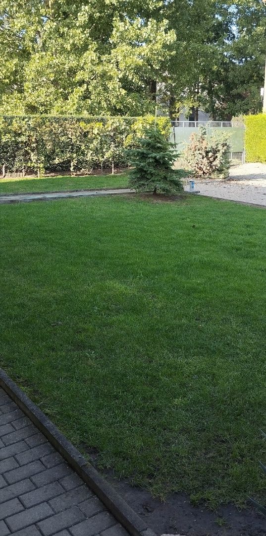 Menší rodinný dom na predaj s veľkým pozemkom v Nových Zámkoch. – fotografia 1