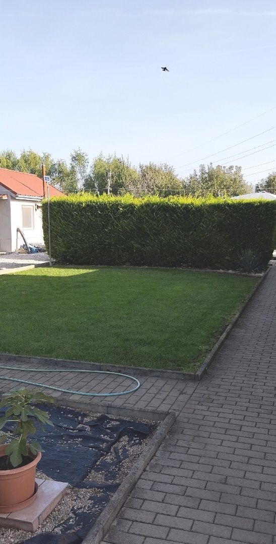 Menší rodinný dom na predaj s veľkým pozemkom v Nových Zámkoch. – fotografia 2