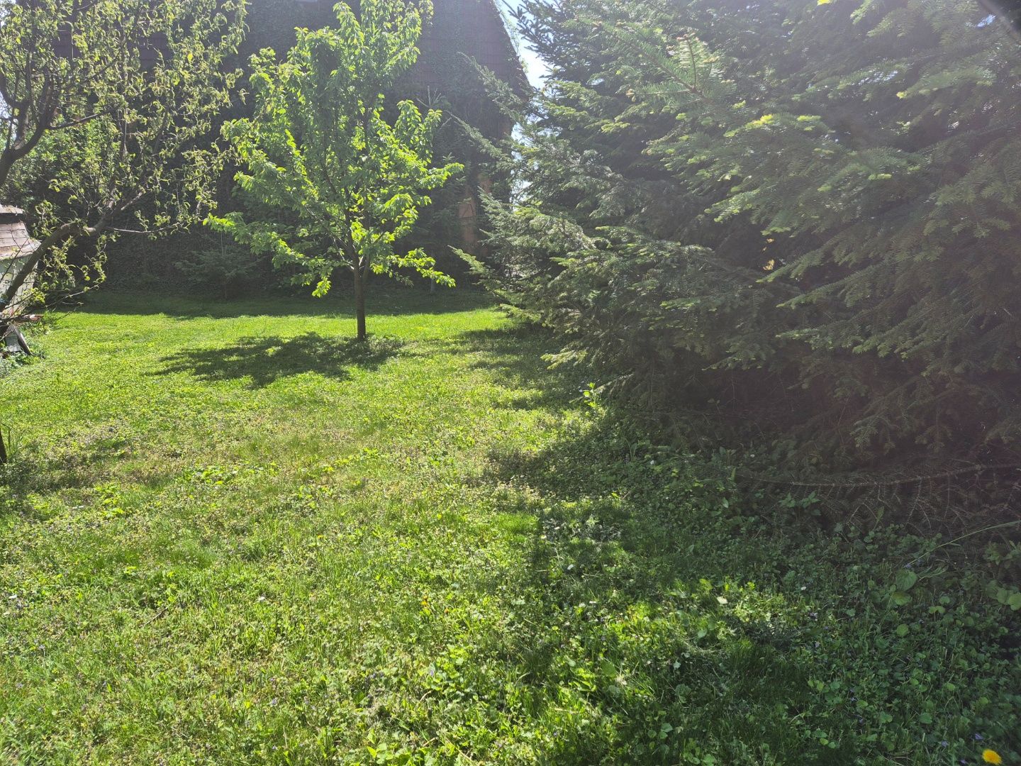 Stavebný pozemok na predaj v Šuranoch. – fotografia 1
