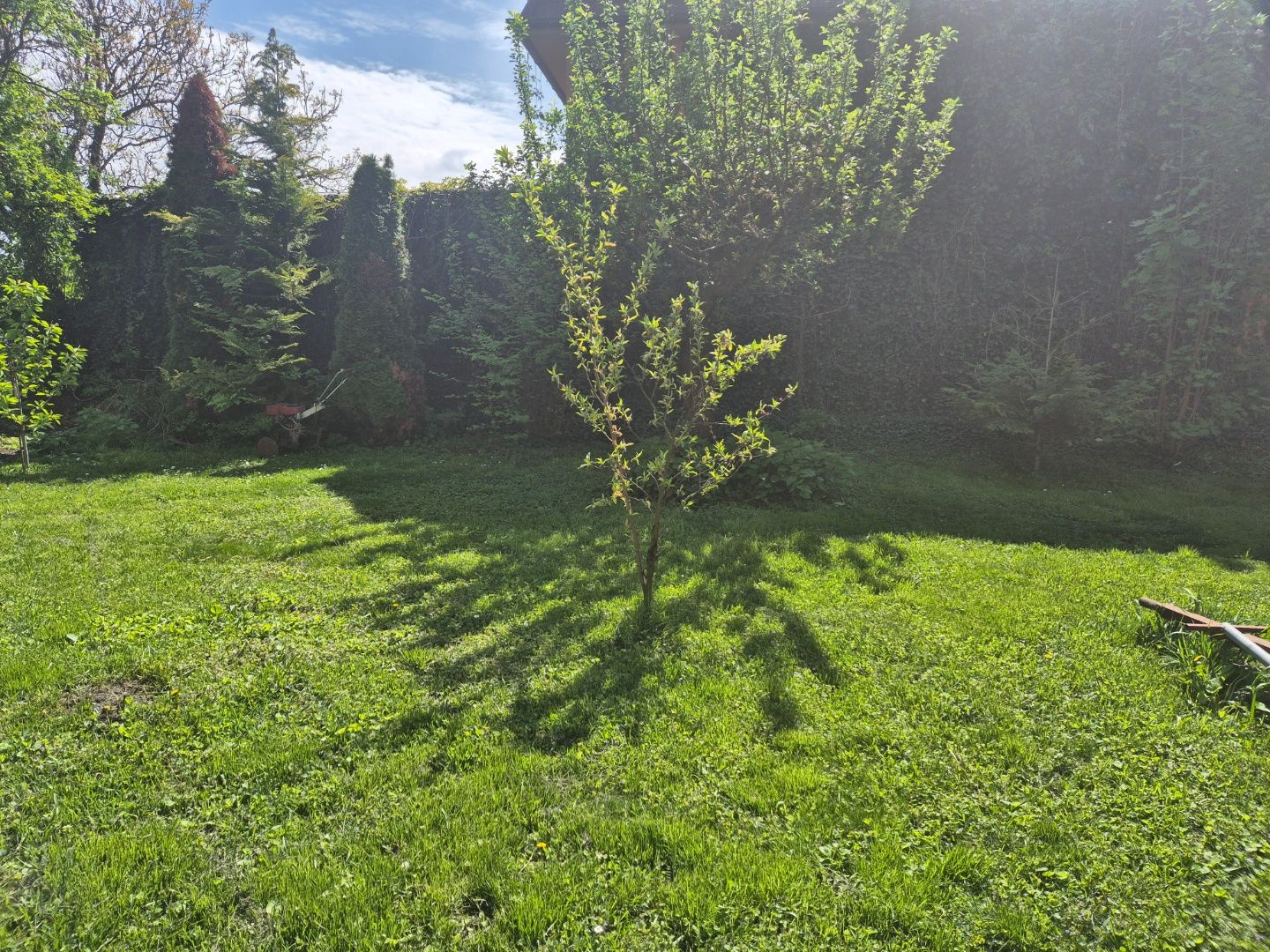 Stavebný pozemok na predaj v Šuranoch. – fotografia 3