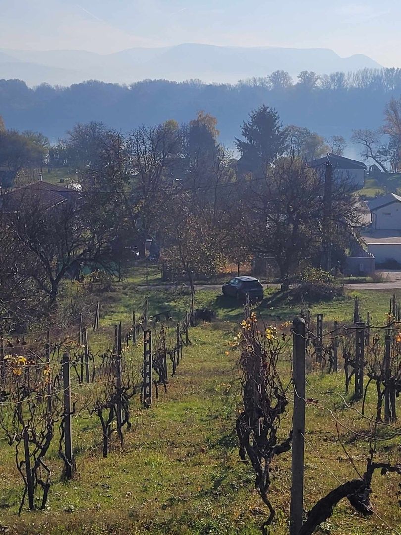 Ponúkame na predaj pozemok na Božom kopci v Štúrove. – fotografia 3