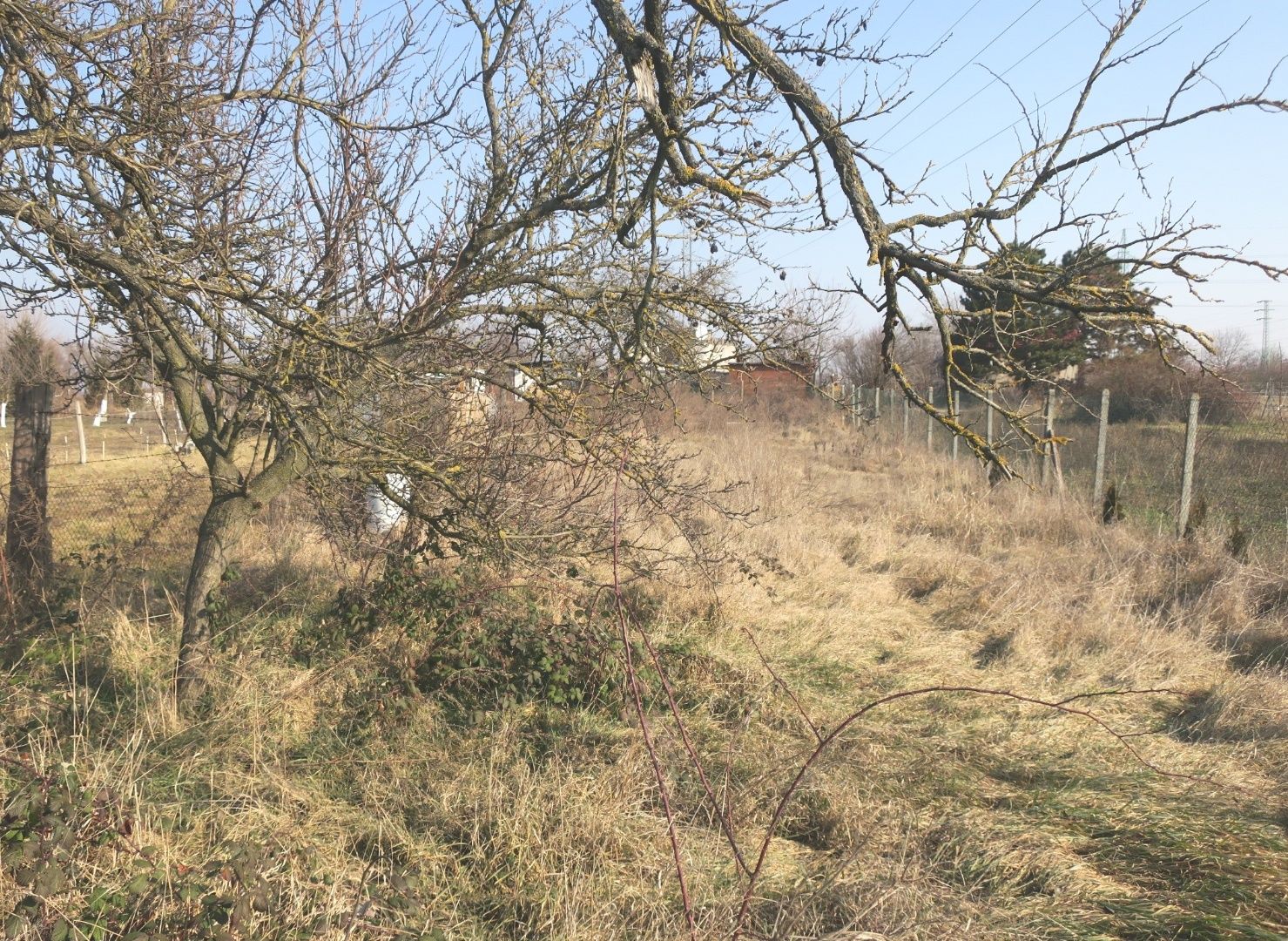 Záhrada na predaj v Nových Zámkoch. – fotografia 3