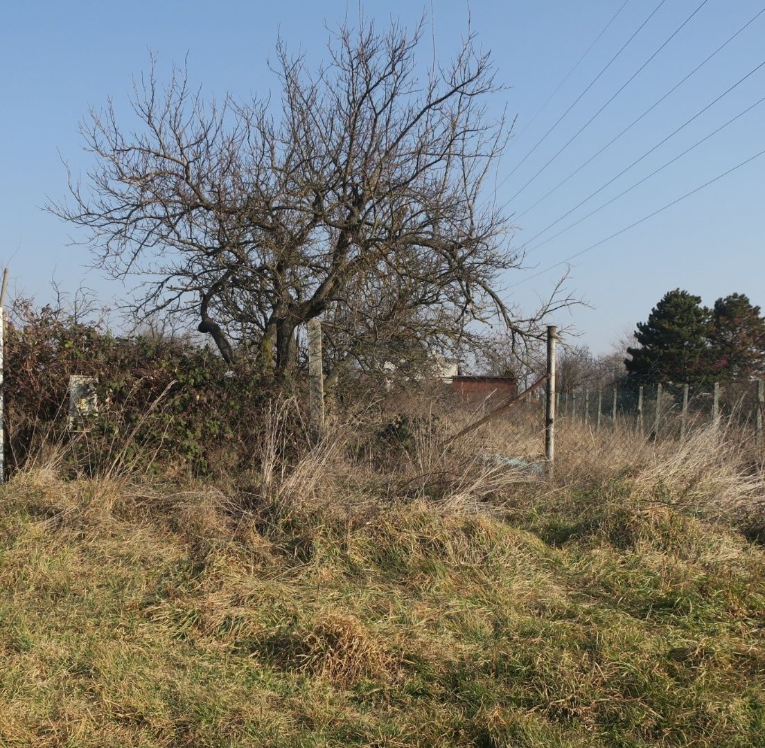 Záhrada na predaj v Nových Zámkoch. – fotografia 4