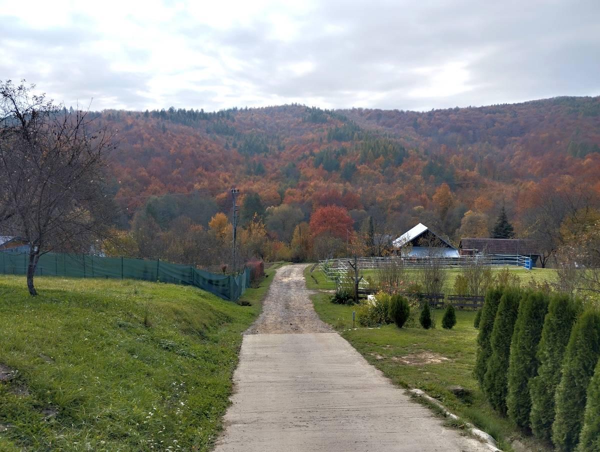 Murovaná záhradná chatka na predaj – fotografia 2