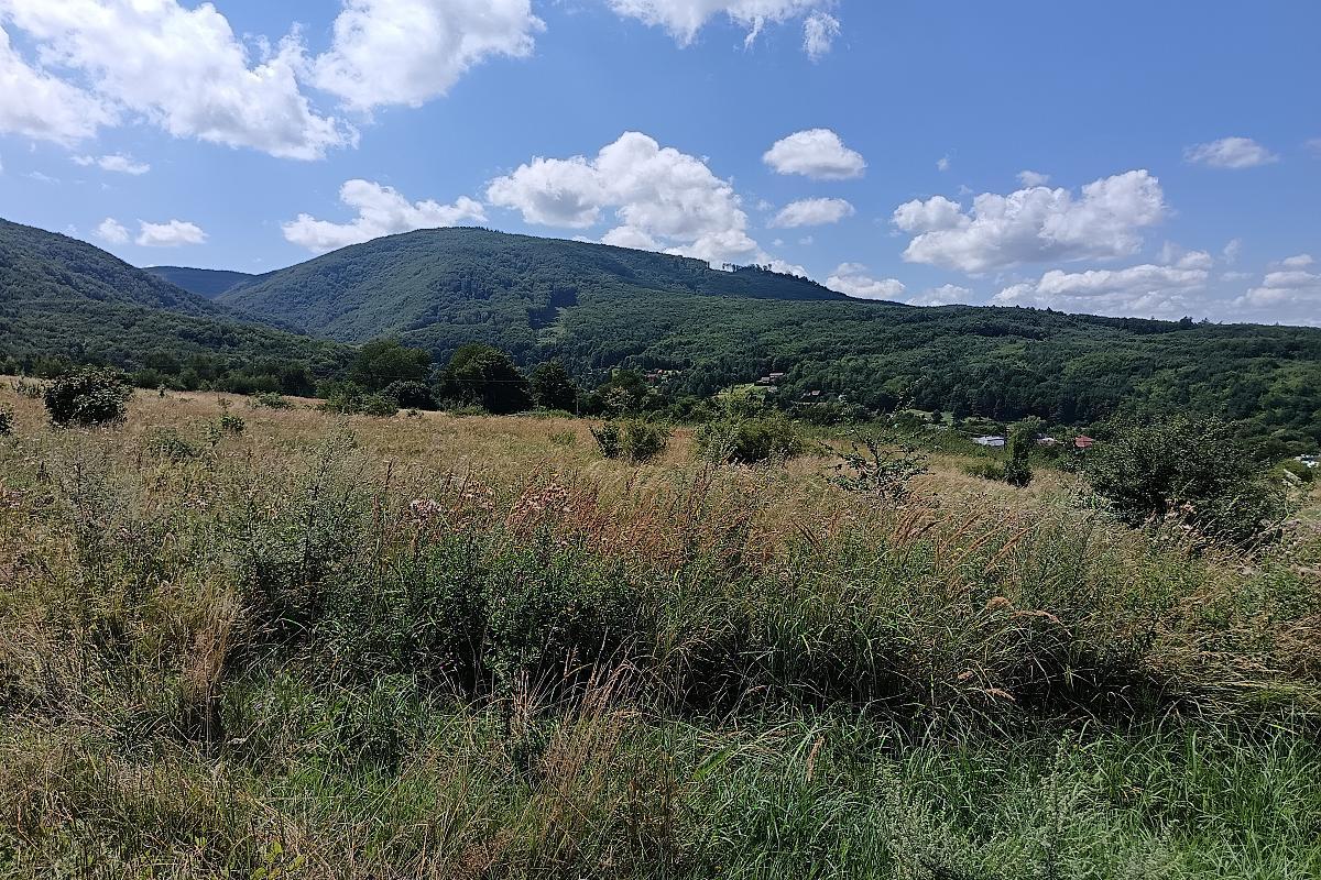 Rekreačný pozemok s panoramatickým výhľadom – Zemplínske Hámre – fotografia 2