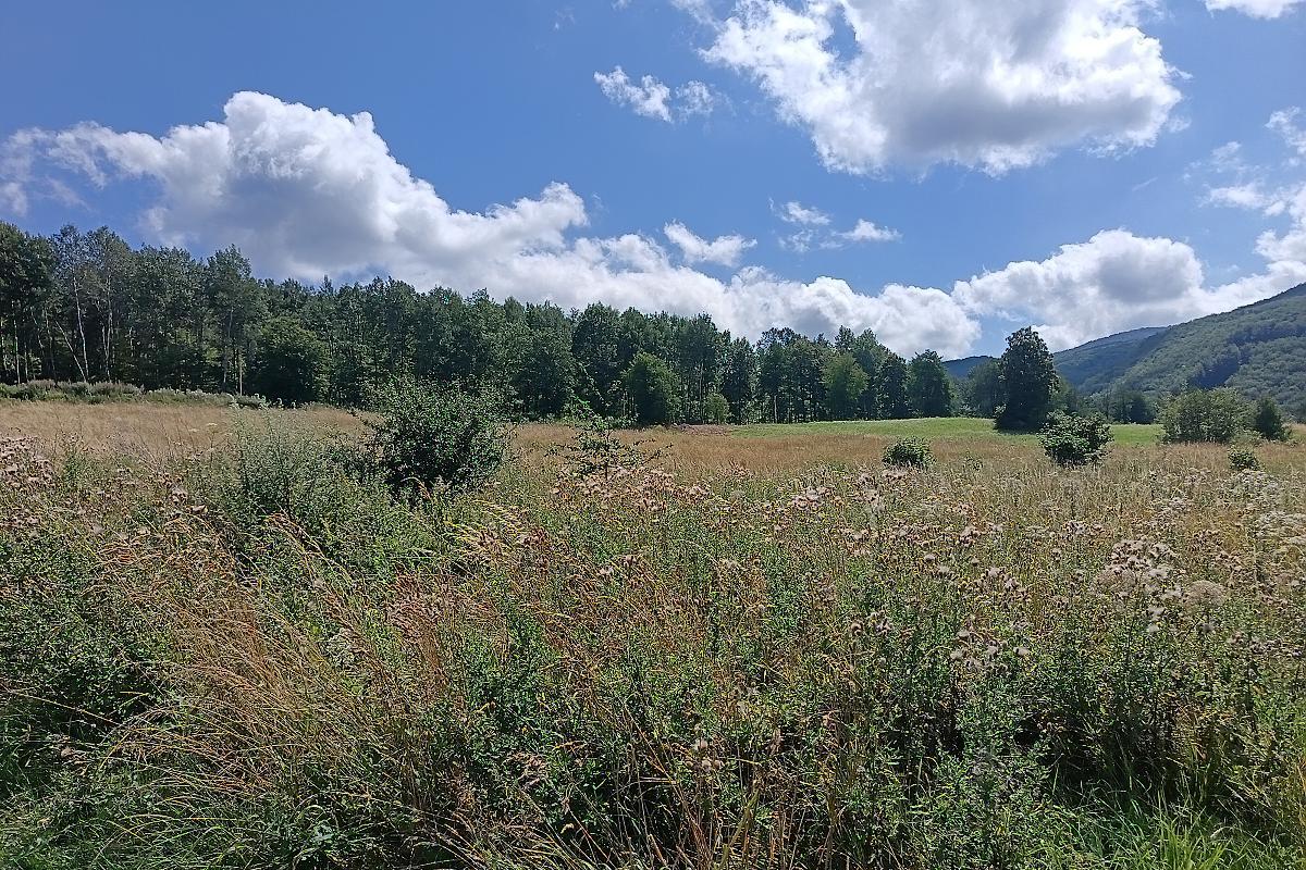 Rekreačný pozemok s panoramatickým výhľadom – Zemplínske Hámre – fotografia 3