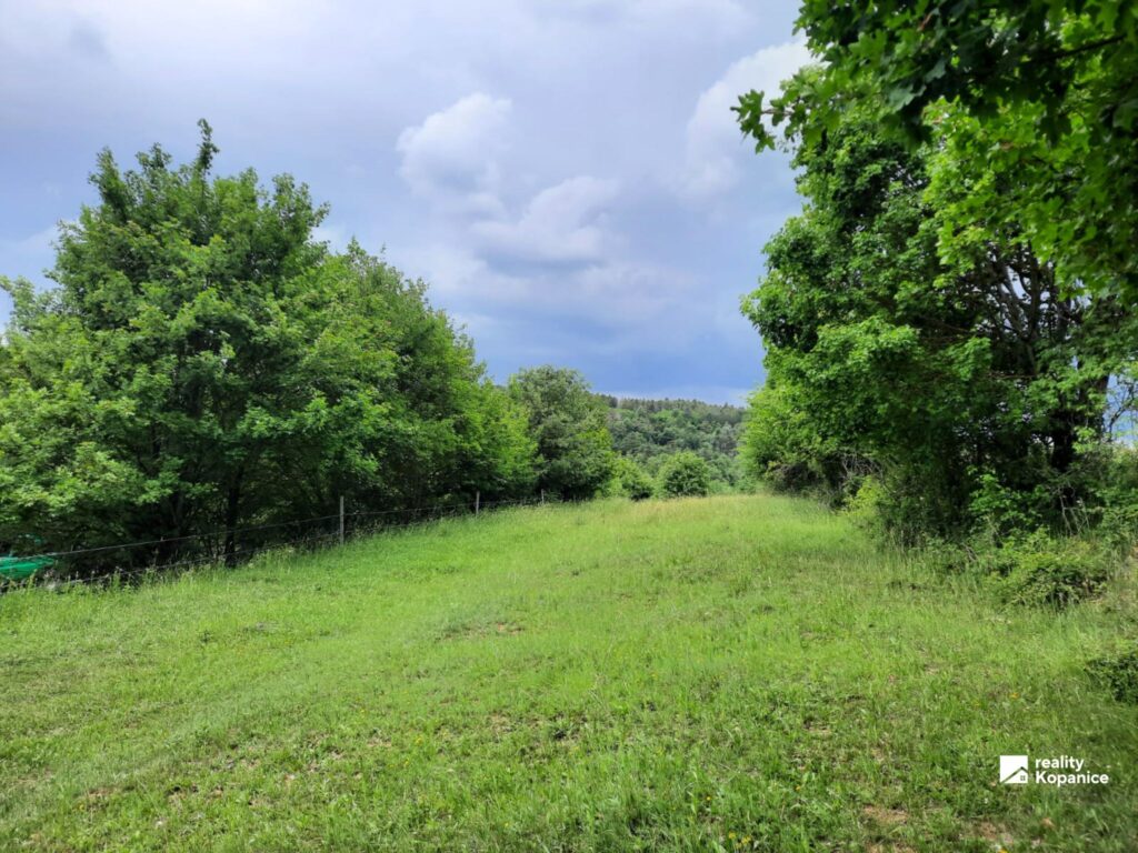 rekreačný pozemok, Brezová pod Bradlom – fotografia 5