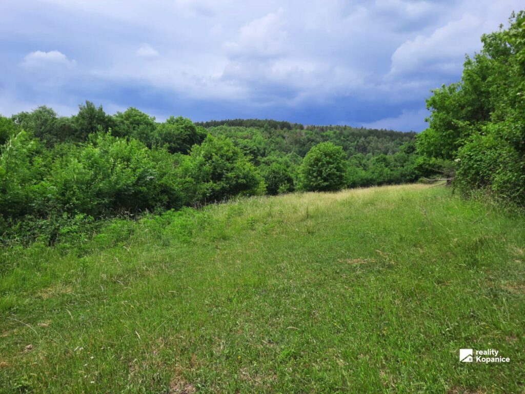 rekreačný pozemok, Brezová pod Bradlom – fotografia 8