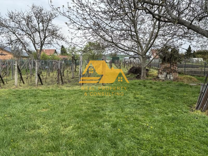 Predám dom s veľkým pozemkom v obci Černík – fotografia 8